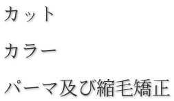 カット  カラー  パーマ及び縮毛矯正