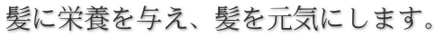 髪に栄養を与え、髪を元気にします。
