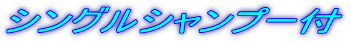 シングルシャンプー付