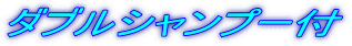 ダブルシャンプー付