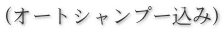 (オートシャンプー込み)