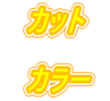 　カット　  　カラー