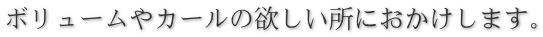 ボリュームやカールの欲しい所におかけします。